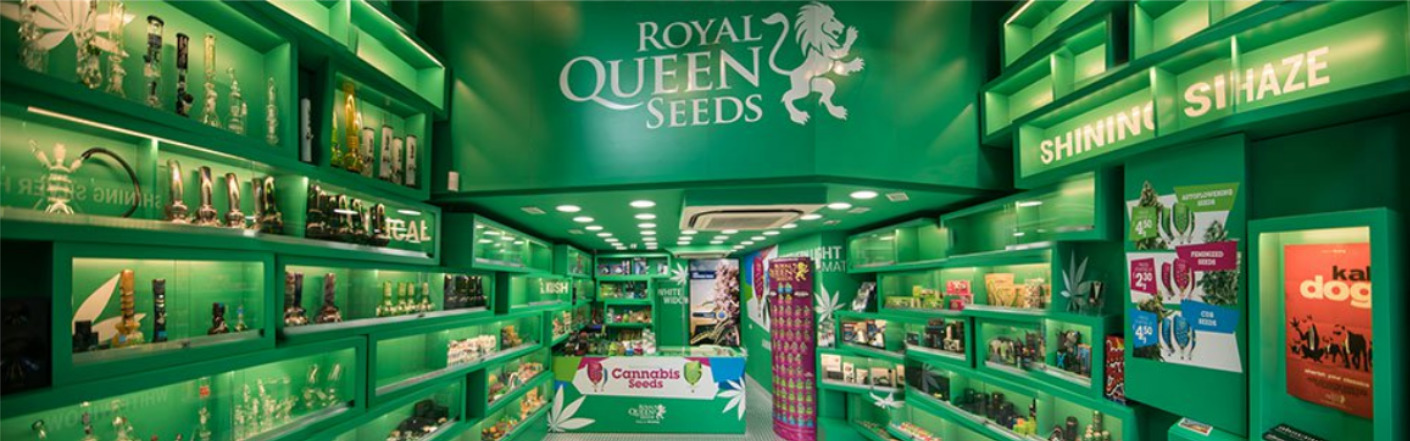 Royal Queen Seeds